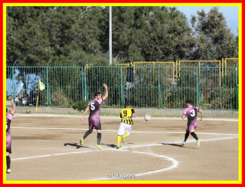 190310 Cephal_Torrenov 054_tn.jpg